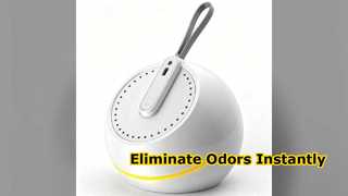 Portable Plasma Ion Generator for Odor and Air Purification