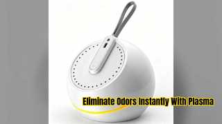 Portable Plasma Ion Generator for Odor and Air Purification